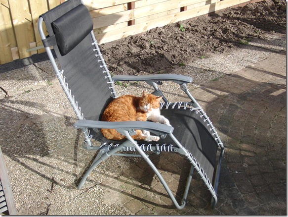 Kruimel in de stoel (1)